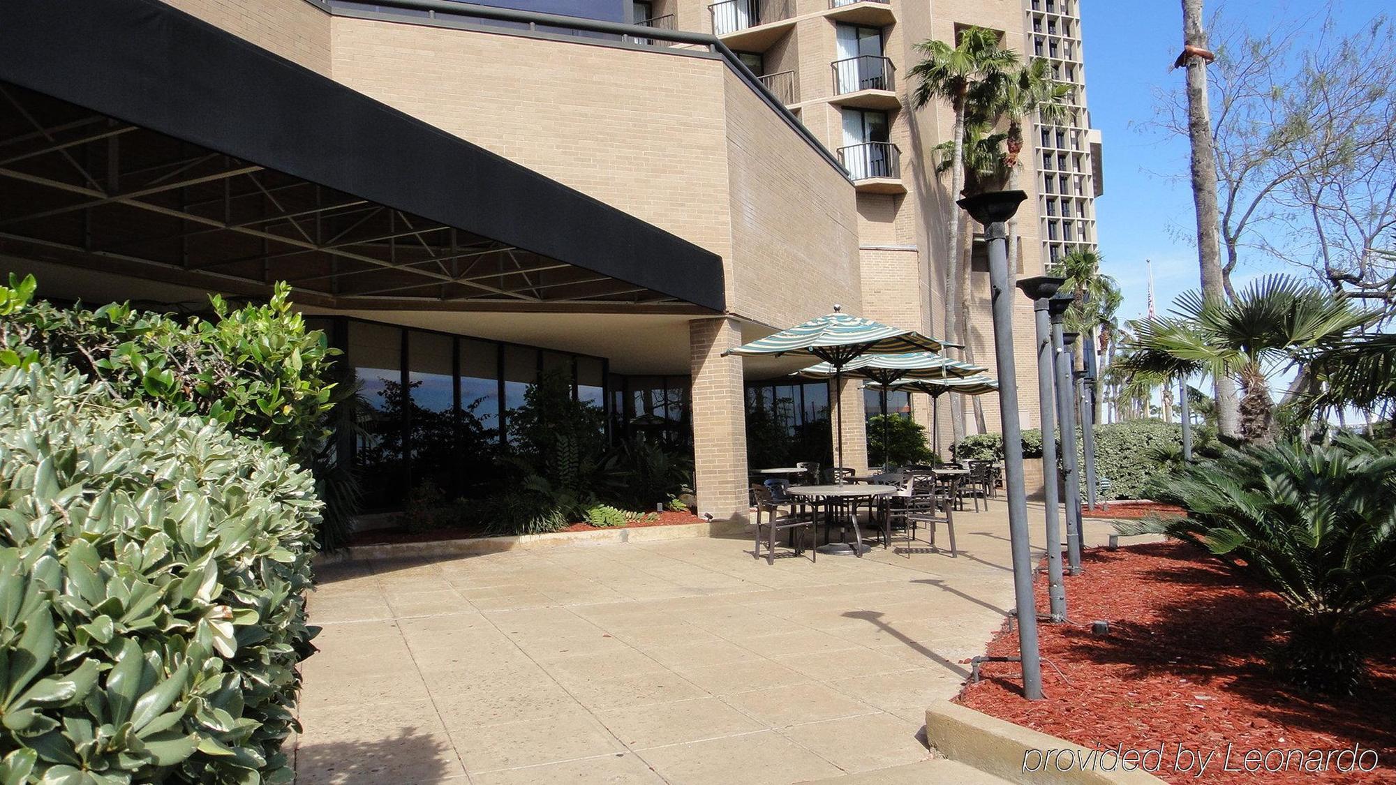 Holiday Inn Corpus Christi Downtown Marina By Ihg Eksteriør bilde